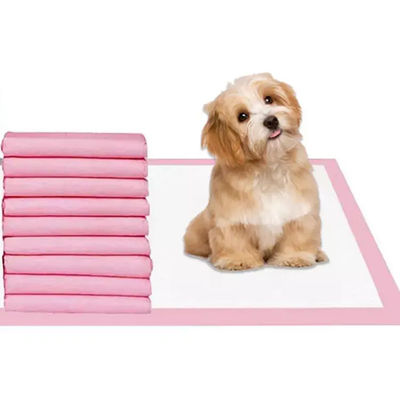 Campioni gratuiti offerti Bambù Carbone di legno Tessuto Pet Doggy Training Pad