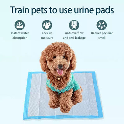 45x60cm Pet Pee Pad 5 strati Assorbente Pad di allenamento per cani e cuccioli adatto a tutti gli animali domestici