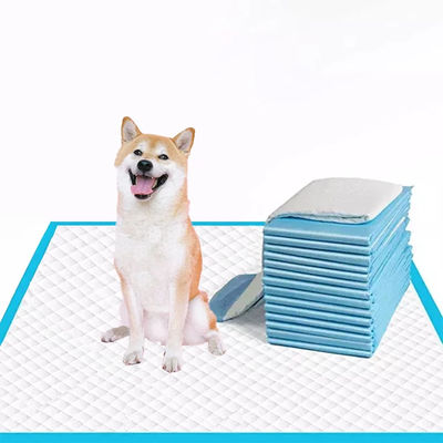 Pad di addestramento per animali da compagnia monouso a 5 strati blu per cani piccoli/medi/grandi Superassorbente