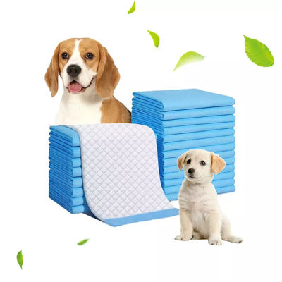 72 Tazze di aspirazione forti Pad per animali da compagnia 60x90 cm Pad assorbente per addestramento di cani/gatti/conigli