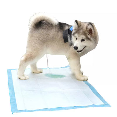 Pad per l'addestramento delle piscine per animali domestici per cani Pad urinario usa e getta per animali domestici con assorbente di superficie secca