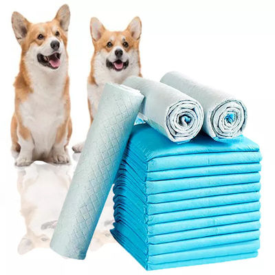 SAP 5 Ply layer Pet Potty Training Pad per cani Puppy Dog Training Pet Toilet Pee Pad