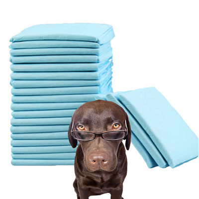 600X350 600X450 600X600 900X600 Pad di addestramento per animali a prova di perdite con materiale sostenibile