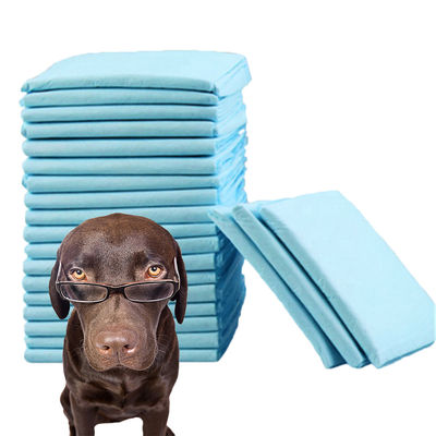 Animali di piccole dimensioni Pad di allenamento per animali da compagnia a cinque strati super assorbente per urina Piss Mat Dog Cat