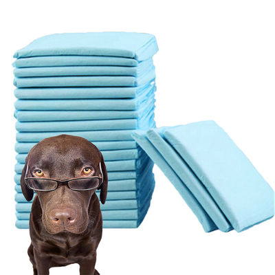 Underpad certificati CE ISO La soluzione definitiva per l'igiene e la pulizia degli animali domestici