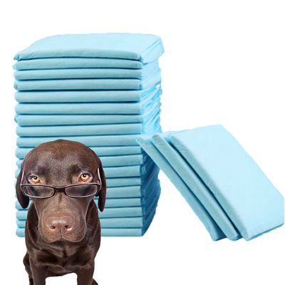 Pulizia per animali domestici Pad per la formazione del cucciolo usa e getta ad alta assorbente con certificato CE ISO