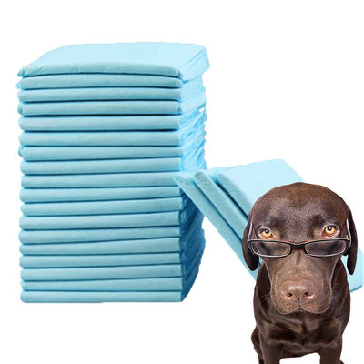 Cotton traspirante, cura morbida, cucciolo, cane, urina, addestramento, pastiglie igieniche, tappetino assorbente