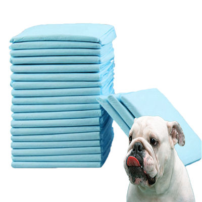 Animali piccoli Pad di addestramento per animali domestici per l'assorbimento dell'urina e l'addestramento all'agilità
