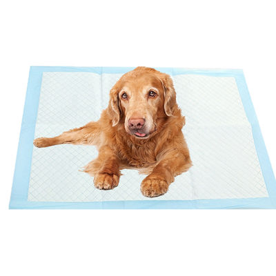 Cane per animali domestici Pad di urina Animali piccoli Lunghezza X Larghezza mm 600X350 600X450 600X600 900X600