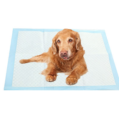 Servizio OEM supportato addestramento del cucciolo per cani per animali domestici con fibre e tipo di oggetto
