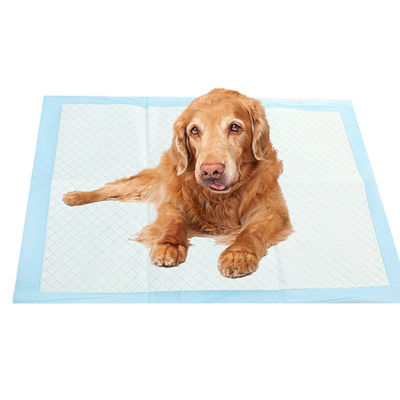 Pet Wee Pads Ultra Absorbente pannolini Mat per cani e gatti Piss Training Incontinenza