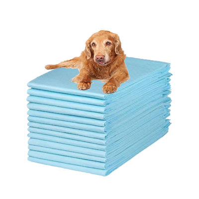 Pulizia per animali domestici Pad per l'urina assorbenti usa e getta per addestramento dei cuccioli pannolino per cani ad alta assorbente