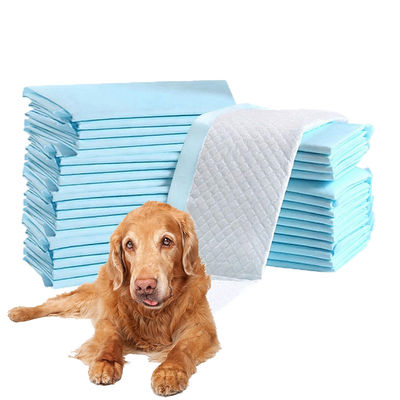 Protezione degli animali piccoli Odore Eliminazione degli odori addestramento degli animali domestici assorbente di urina