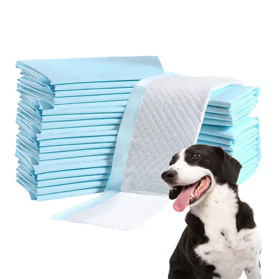 Prodotti per animali domestici sostenibili Pad di addestramento per cani con film per la schiena PE ad alta assorbente e traspirante