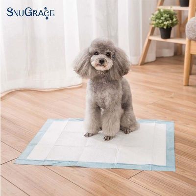 Alta assorbibilità 900X600 Pad di pipi' usa e getta per cani riforniti per l'addestramento dei cuccioli 600X350