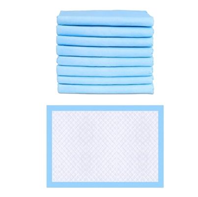 Stocked Style Pet Pee Training Pad Pad Personalizzati Disposable Pad per cani e gatti