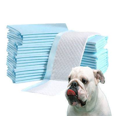 Sacchetti di cacca S M L XL XXL Assorbimento delle urine monouso Pad per animali con adesivi antiscivolo