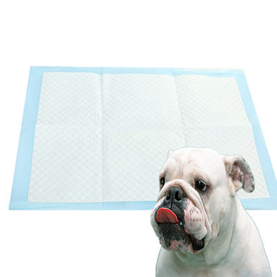 Addestramento per animali domestici Pad usa e getta per cani in nero bianco blu e verde