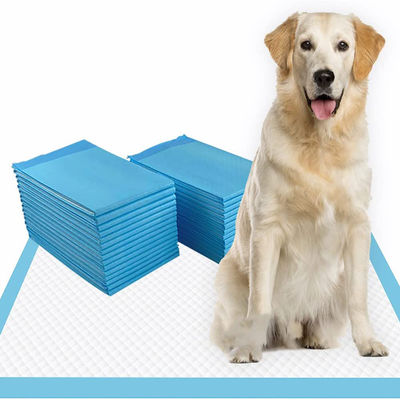 100-2000 ml di capacità assorbente Pissing per animali da compagnia Disposable Pissing Under Pads con certificazione CE