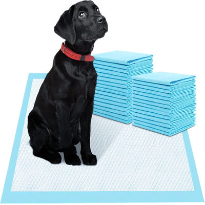100-2000 ml di capacità assorbente Pissing per animali da compagnia Disposable Pissing Under Pads con certificazione CE