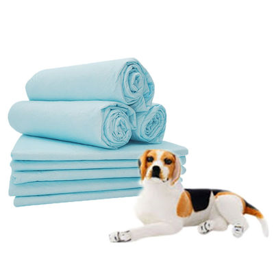 Controllo dell'odore asciuga velocemente extra grandi cuscinetti di piscio monouso per cuccioli per cani certificati CE ISO