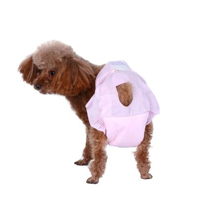 Piumini per cani per donne di grandi dimensioni Colori personalizzati Piumini per cani usa e getta per il sostenibile