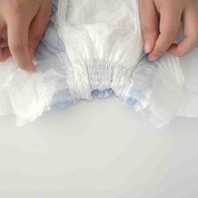 3D Leak Prevention Channel pannolini usa e getta per cani
