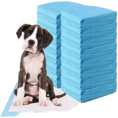 Disposable Incontinence L XL Pee Pad Pad di addestramento per cuccioli