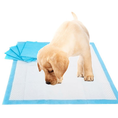 Disposable Incontinence L XL Pee Pad Pad di addestramento per cuccioli