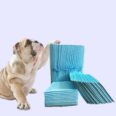 Disposable Incontinence L XL Pee Pad Pad di addestramento per cuccioli
