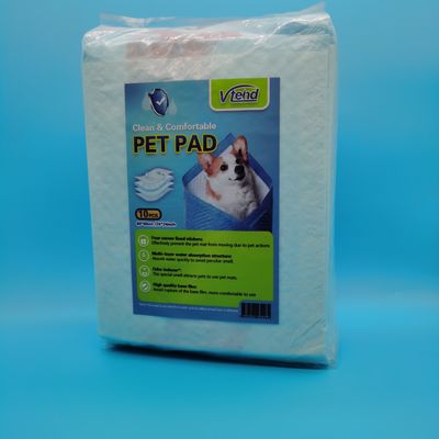 Strumentazione per animali da compagnia usa e getta 100% cotone per bagno
