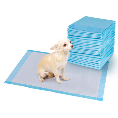 Pulpa di pelliccia assorbente personalizzata senza profumo addestramento usa e getta cuccioli di cuccioli per cani e gatti