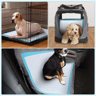Extra Large Absorbent Dog Training Piss Pad 60x90 60x60 60x45 con Soft Nowoven Frabic