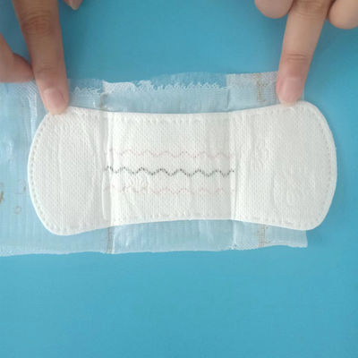 Certificato ISO9001 CE Customized Herbal Anion Women's 2022 Incontinence Panty Liner